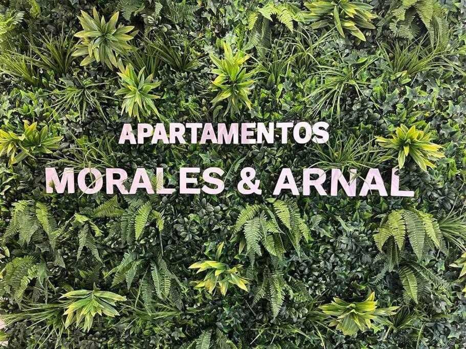 XVIII B Suite Apartamentos Morales & Arnal Ronda Exteriér fotografie